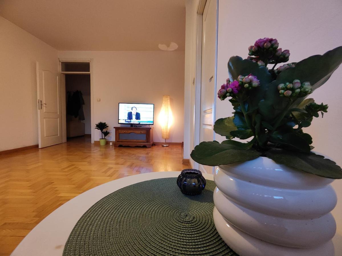 Srecko No3 Appartement Belgrado Buitenkant foto