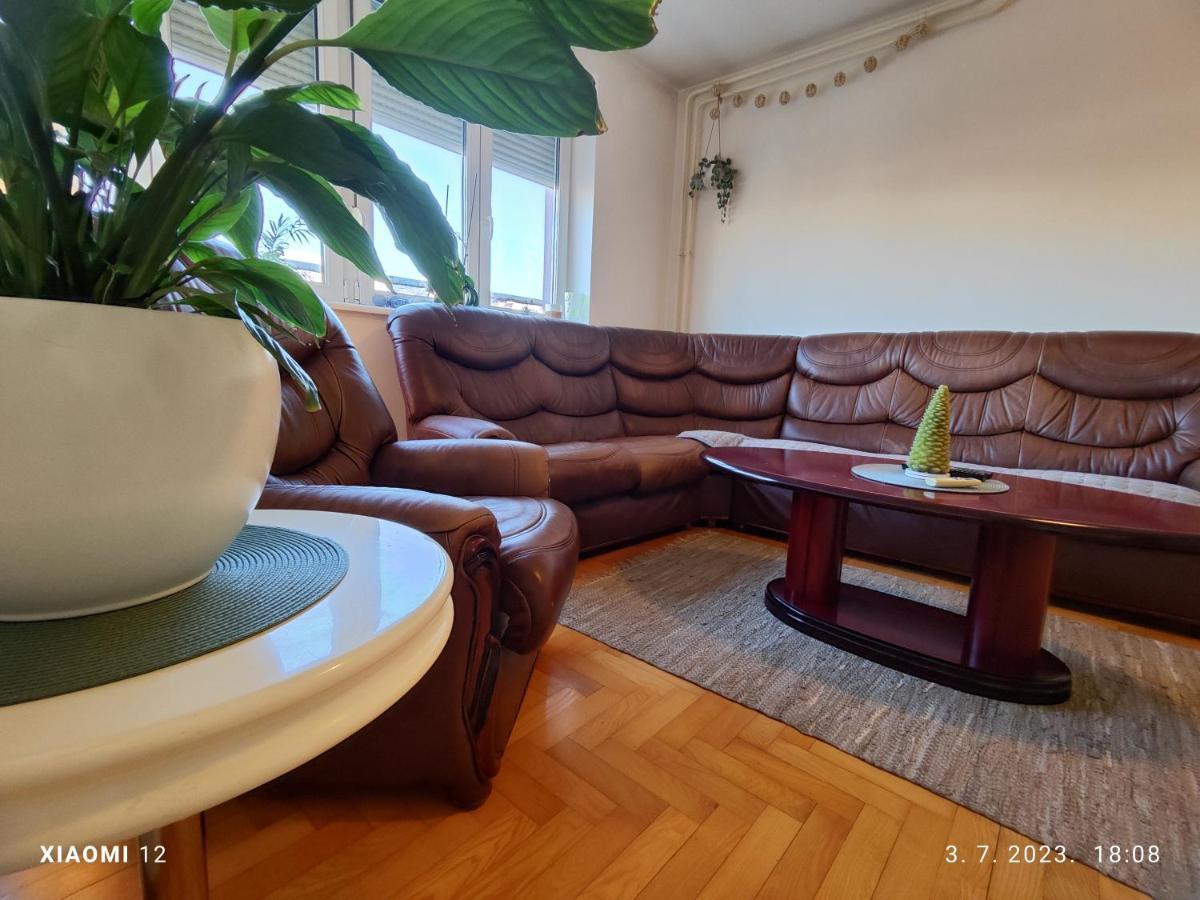 Srecko No3 Appartement Belgrado Buitenkant foto